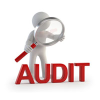 Audit